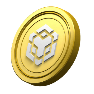 Platform hakkında bilgi alanında yer alan dekoratif BNB coin resmi